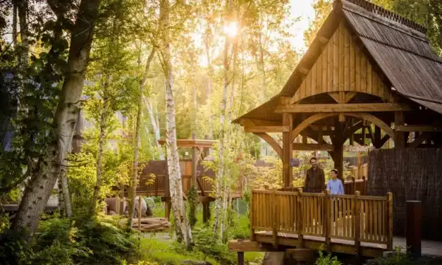 Quel hôtel choisir au Parc Astérix selon votre profil ?